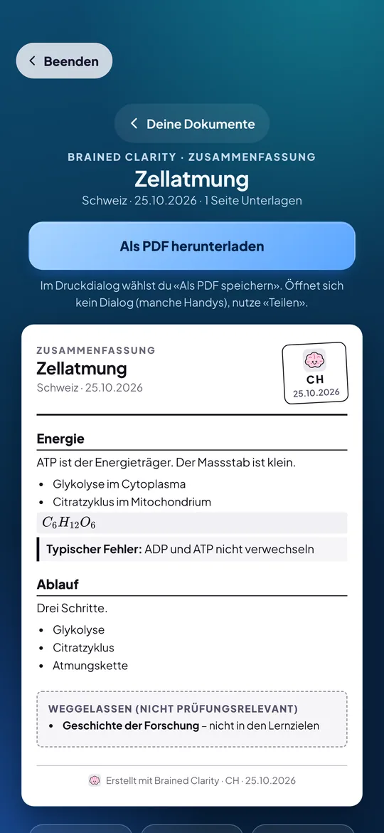 Brained Clarity: Zusammenfassung als Dokument